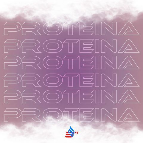 proteina-curves proteina-curves