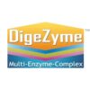 PROTEÍNA WHEY + ISOLATE (1KG) con Digezyme - Imagen 2